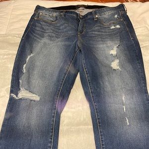 Brand new torrid distressed jeans